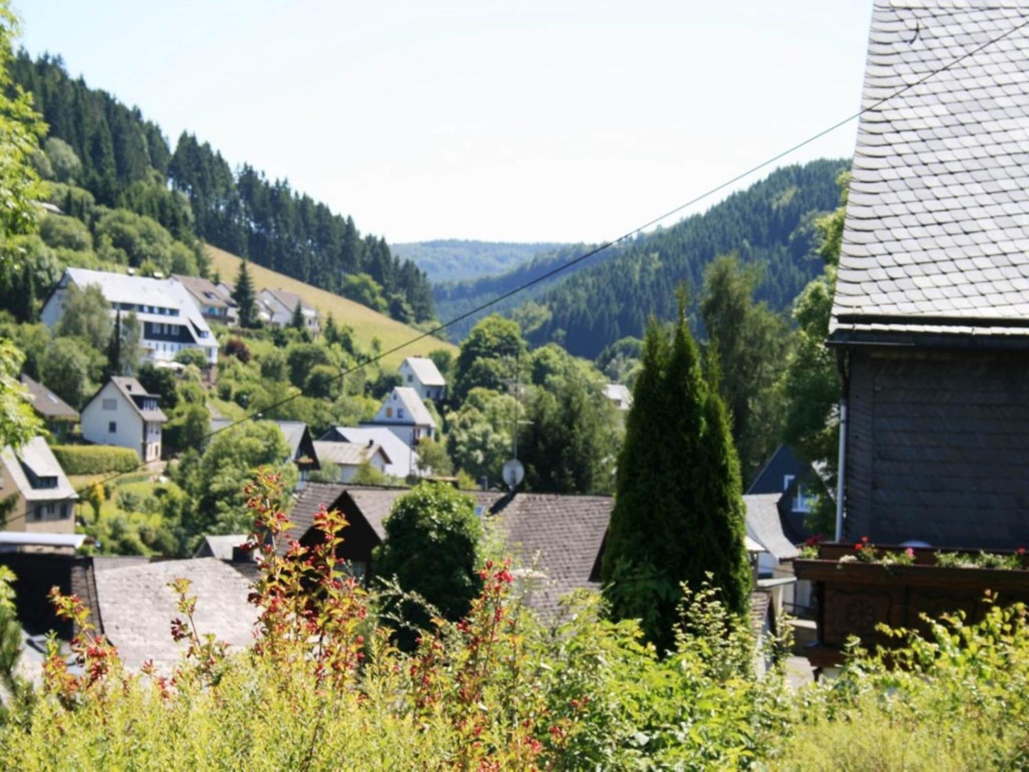 Cosy Apartment In Schwalefeld Near Willingen With Private Terrace 外观 照片